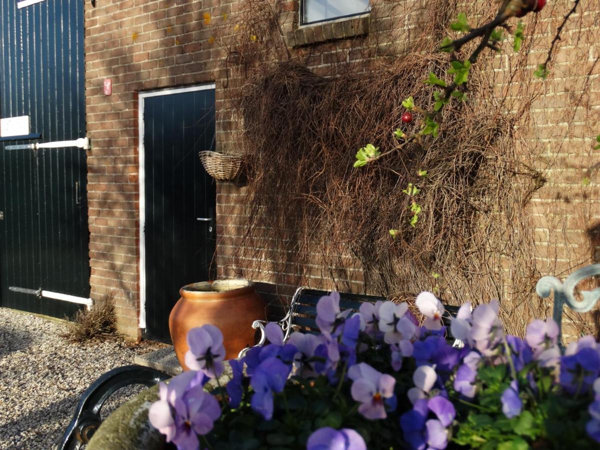 B&B Droom In De Polder -De Salon- Luxe Appartement Met Prive-Sauna Arnemuiden Luaran gambar